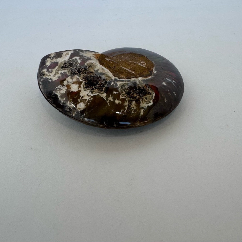 Large Matching Pair of Iridescent Polished Ammonite Fossils from Morocco - Picture 9 of 16